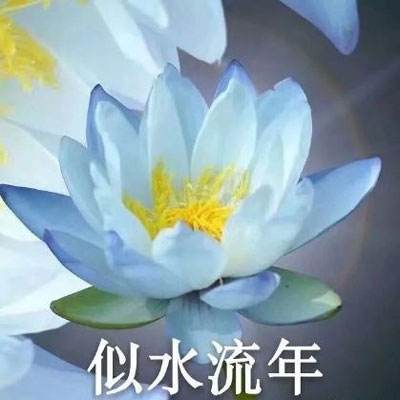 华佗请留步破解版下载