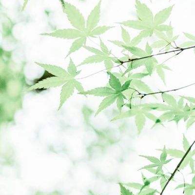 战龙归来手游百度版下载
